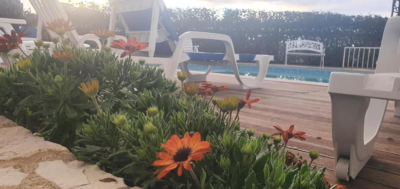 Hotel Larverde Serta Bagian luar foto